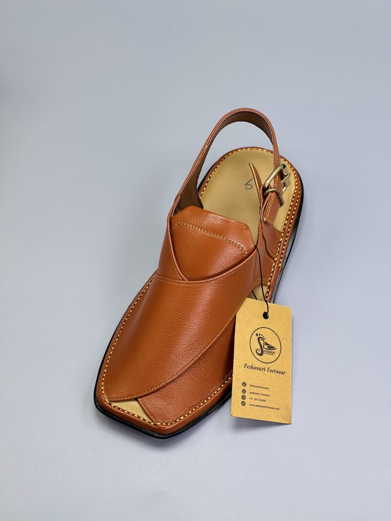 Zardari Chappal