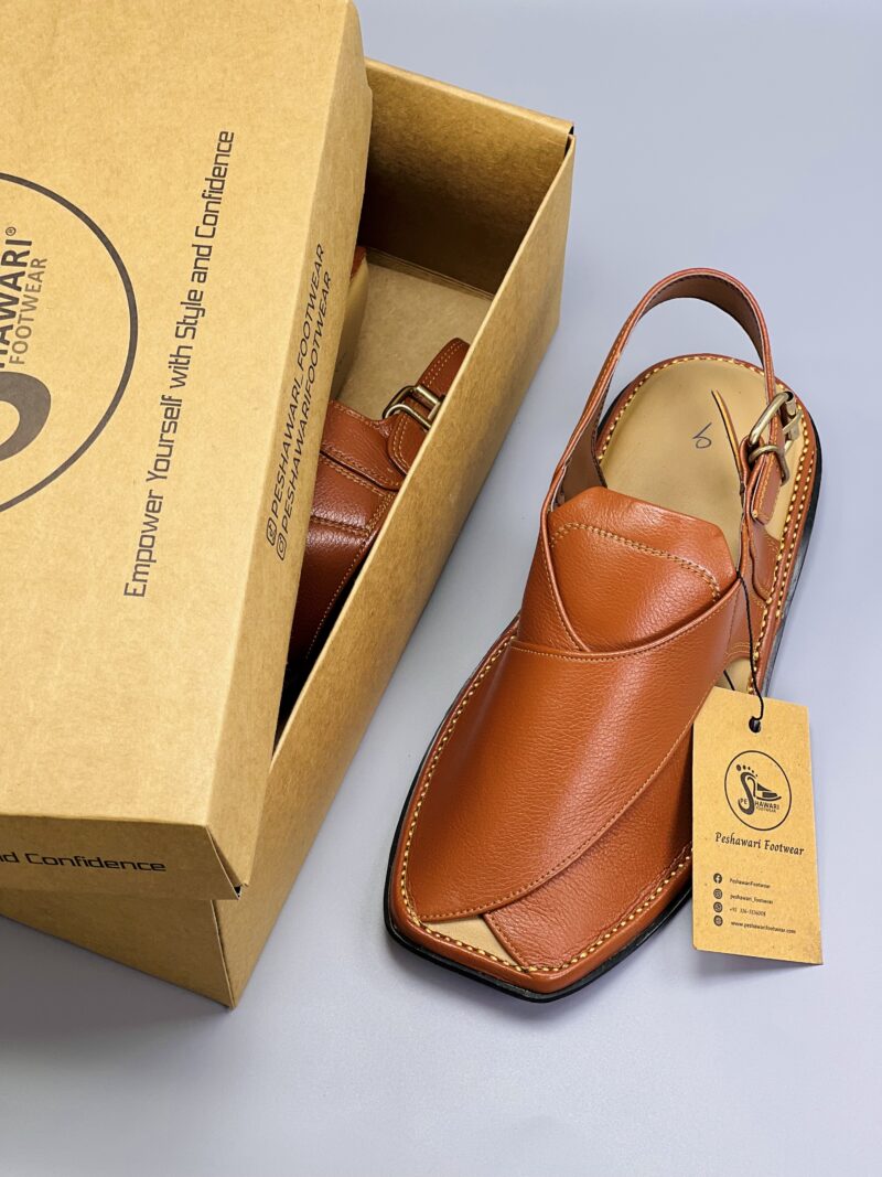 Zardari Chappal