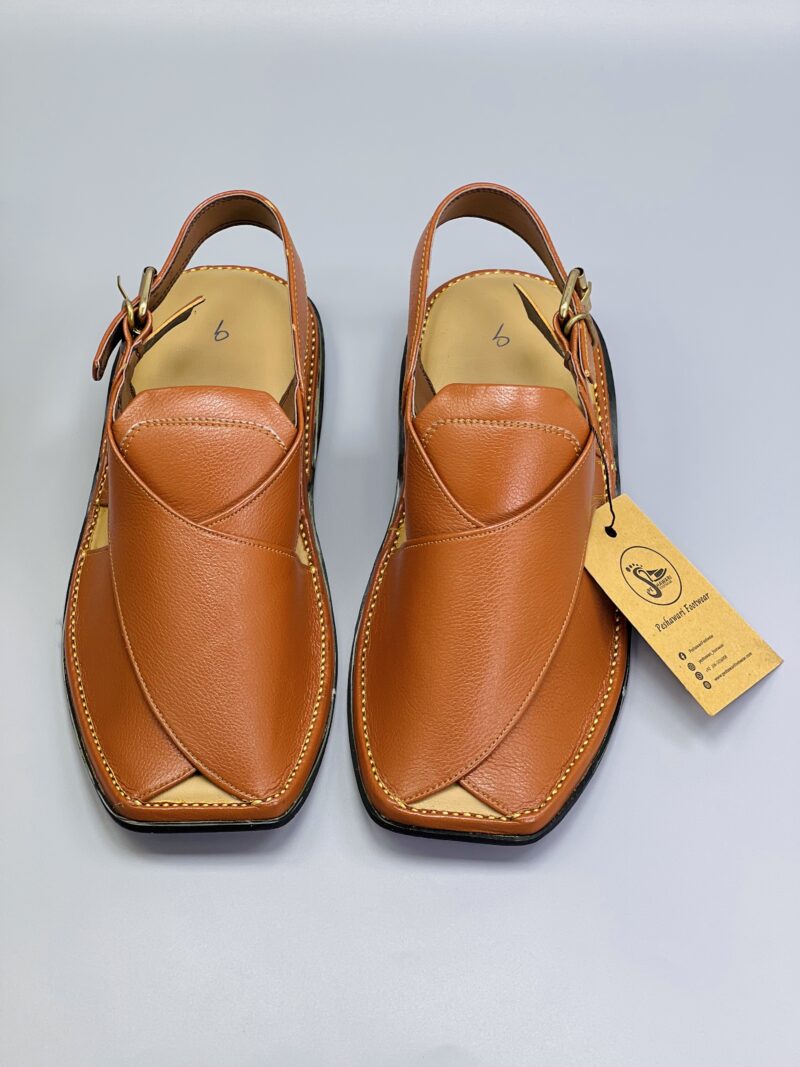 Zardari Chappal