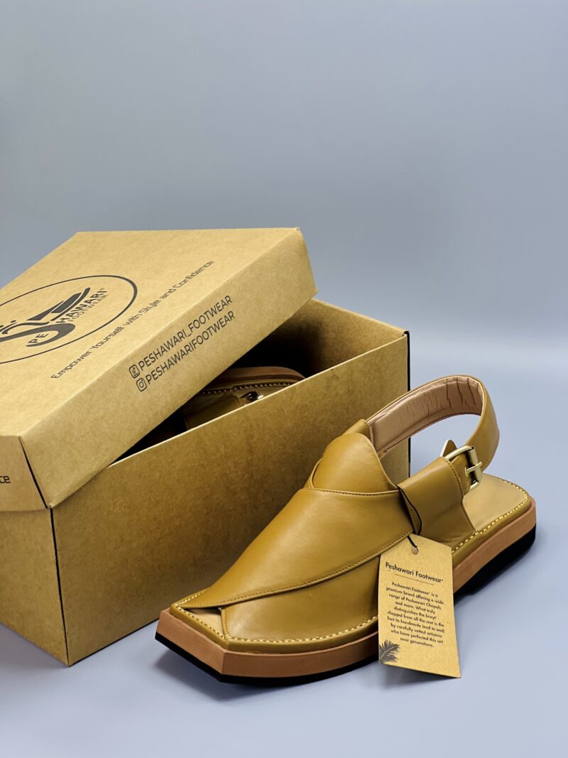 Kaptaan Chappal